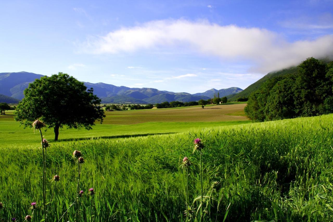 Agriturismo La Cascina Di Opaco Норча Екстериор снимка