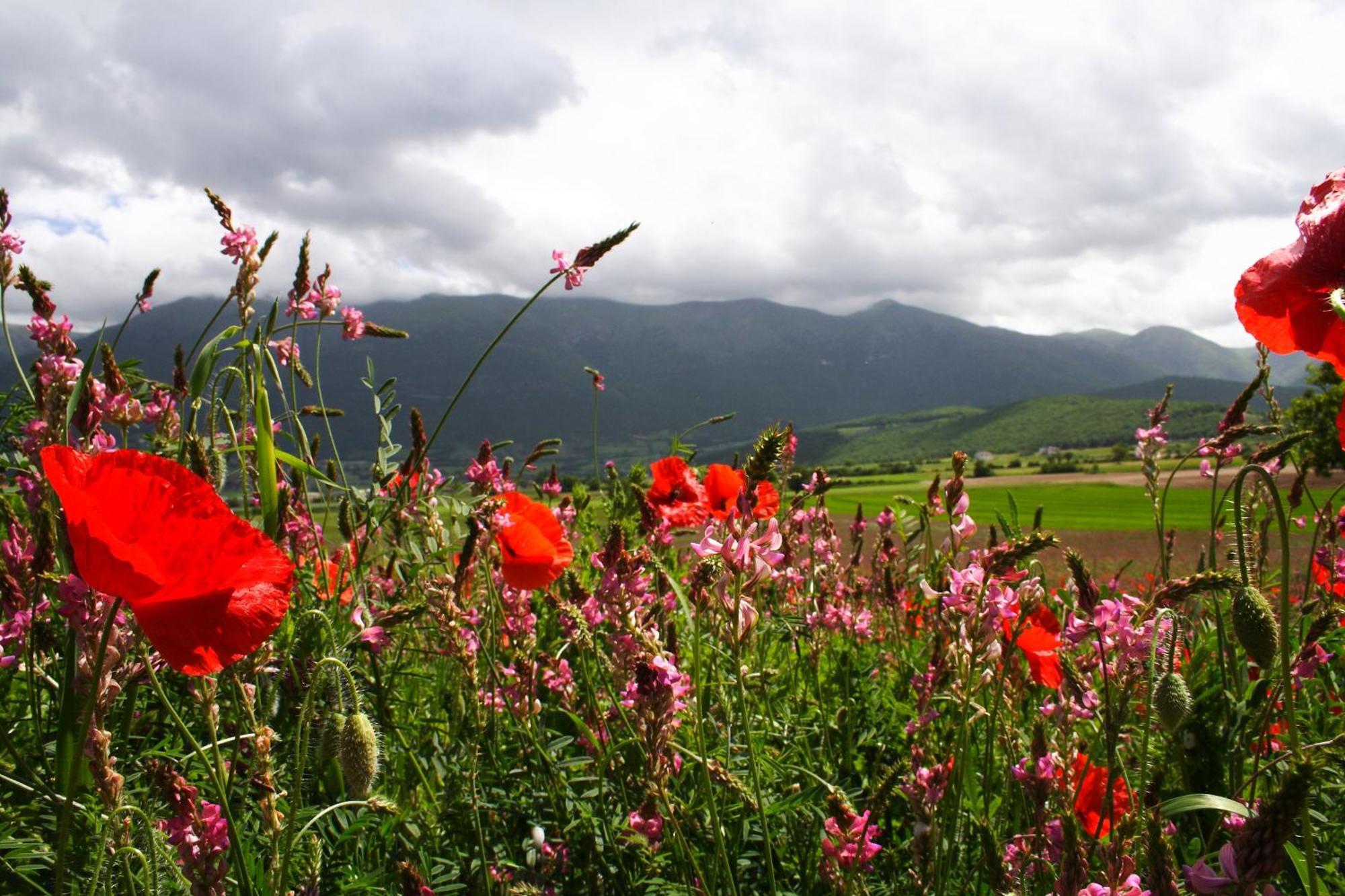 Agriturismo La Cascina Di Opaco Норча Екстериор снимка